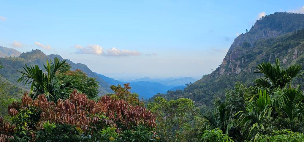 Ella Mount View Guest Inn